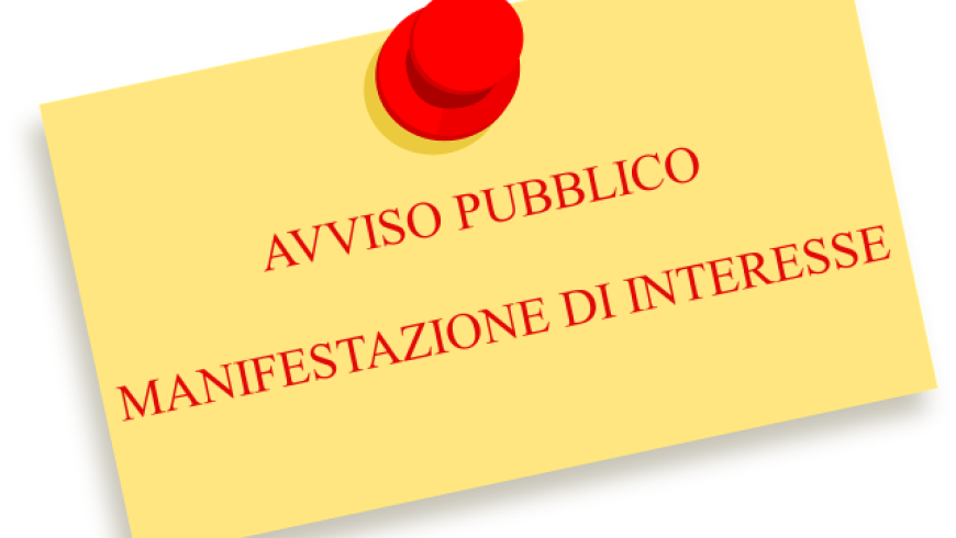 avviso revisore